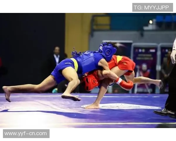 全国功夫散打冠军赛收官 河南队王兴华强势摘冠 全国功夫散打冠军赛收官 河南队王兴华强势摘冠